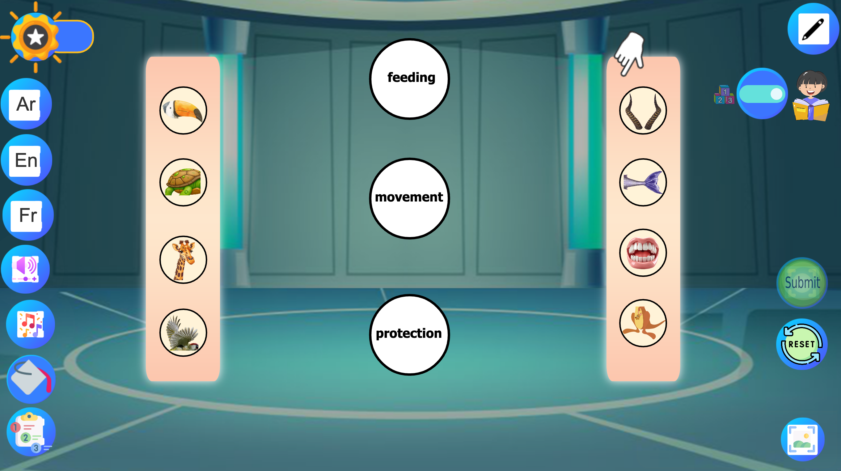 Parts of Animals' Bodies and Their Functions